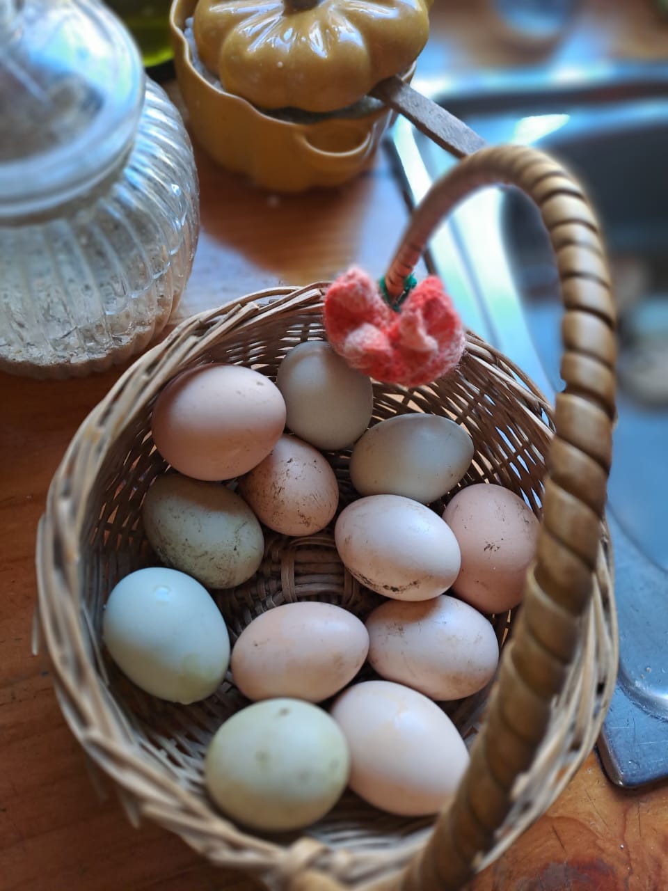 Interior de la tienda